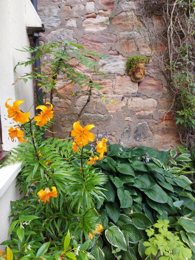 Oil Mill Lane Holiday Cottage Berwick Upon Tweed Exterior foto